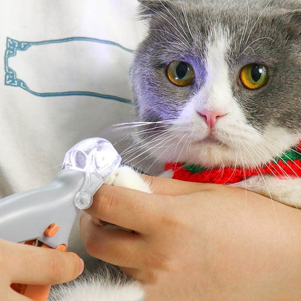 Tondeuse À Cheveux Pour Animaux De Compagnie Avec Lumière Led