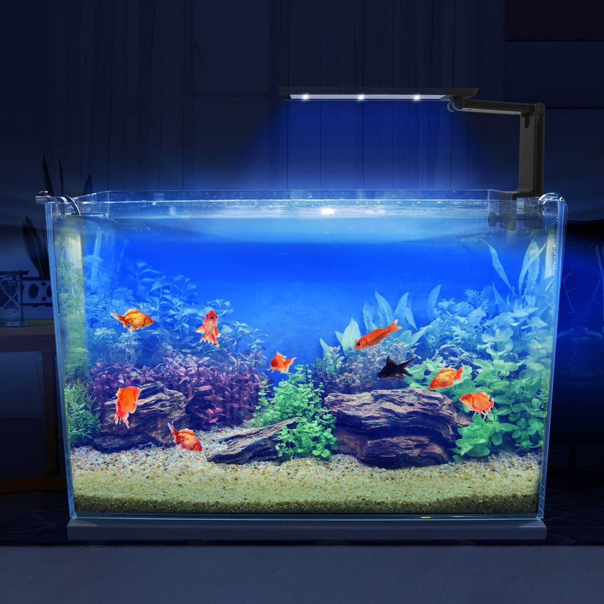 Rampe à LED éclairage aquarium planté lumière spectre complet pour aqu –  Petmonde