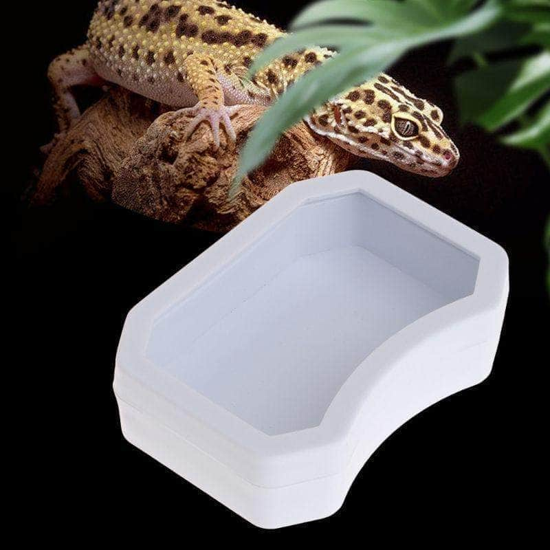 BOLORAMO Bol à Eau pour Aliments pour Reptiles, Bassin de Reptiles