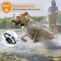 Petmonde-Collier Anti-Aboiement pour Chien, Rechargeable, Étanche, Électrique, IP67-Blanc-Petmonde