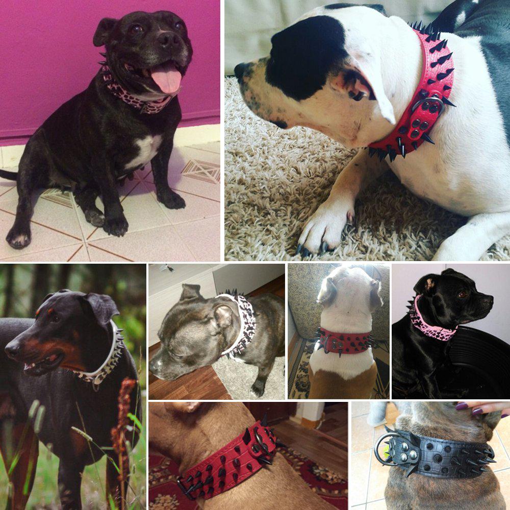 Collier en cuir clouté à pointes pointues ajustable pour les chiens de taille moyenne et grande tels que Pitbull, Bulldog, Boxer-16-Petmonde