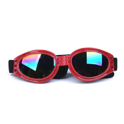 Lunettes de Soleil Anti-UV pour Chats et Chiens - Protection et Style Estival-3-Petmonde