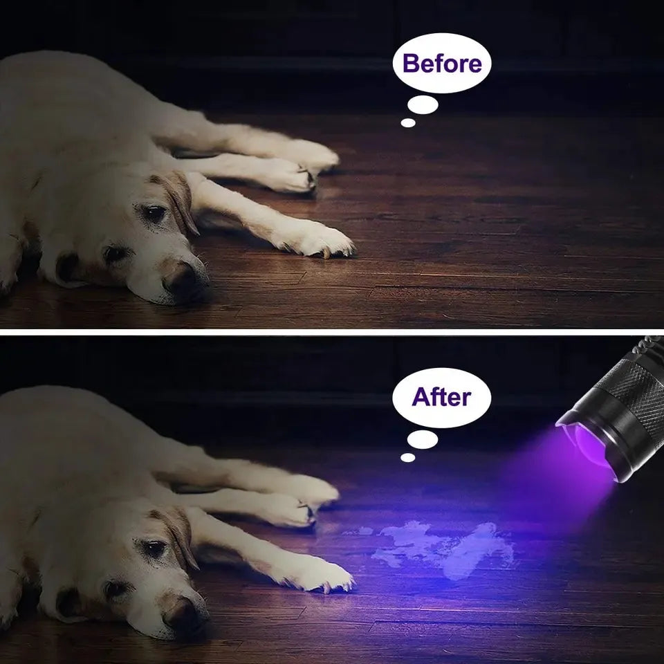 Mini Torche Ultraviolette Portable à LED UV, Étanche, Zoomable – Détection Punaises de Lit & Urine d'Animaux-2-Petmonde