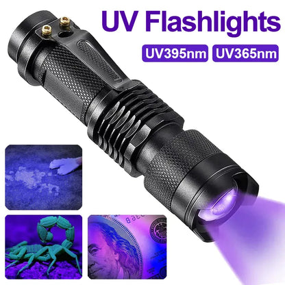 Mini Torche Ultraviolette Portable à LED UV, Étanche, Zoomable – Détection Punaises de Lit & Urine d'Animaux-1-Petmonde