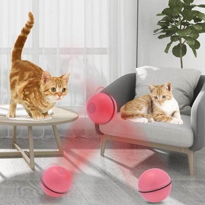 Ballon sauteur jouet interactif pour chat chaton mouvement aléatoire-5-Petmonde