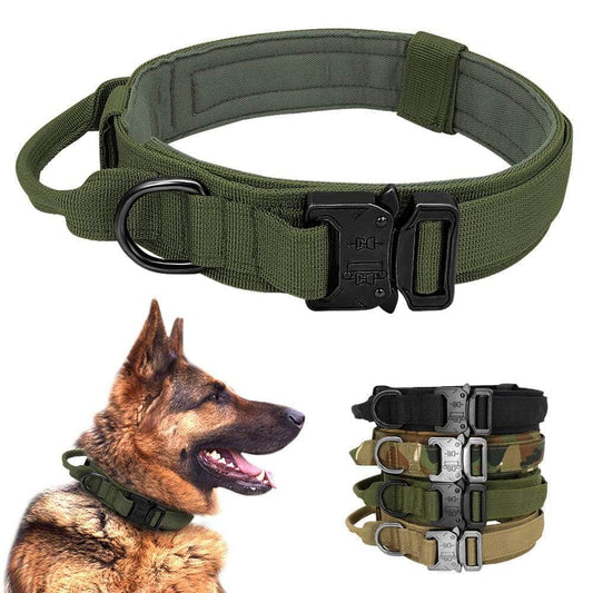 Collier tactique militaire pour chien-1-Petmonde