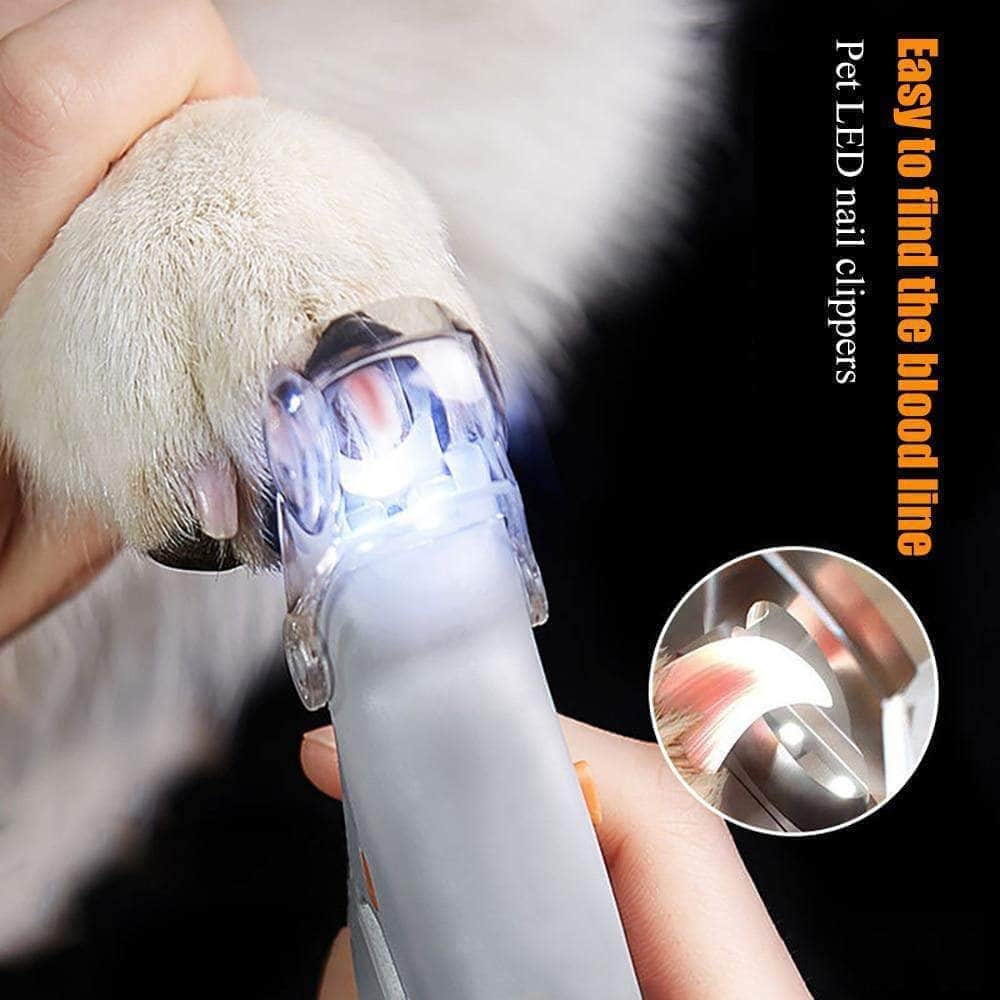 Coupe-Griffe LED pour Chien & Chat – Précision et Confort avec Loupe-3-Petmonde