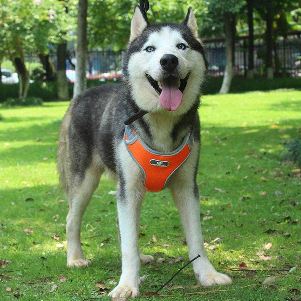 Harnais réfléchissant pour chien gilet respirant réglable-2-Petmonde