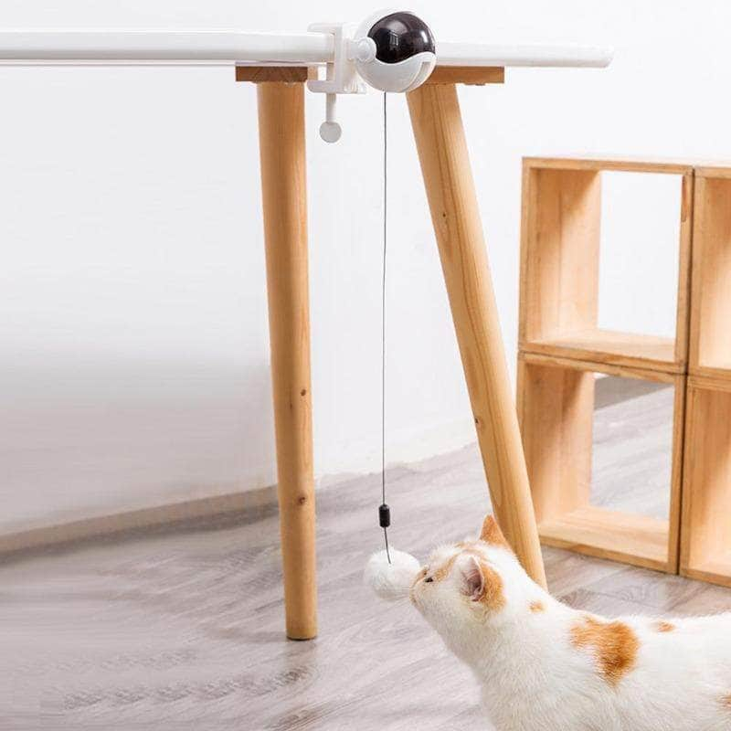 Jouet interactif intelligent pour chat boule de coton-2-Petmonde