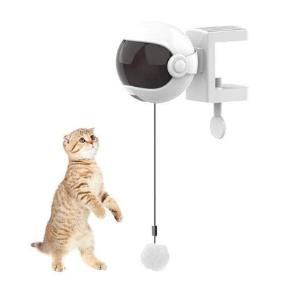 Jouet interactif intelligent pour chat boule de coton-6-Petmonde