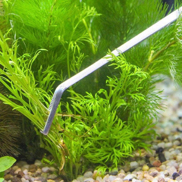 Pince à épiler les plantes d'aquarium Outil de nettoyage de
