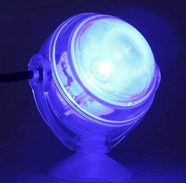 Lampe d'aquarium, 5,9 LED pour aquarium, lumière LED submersible sous –  KOL PET