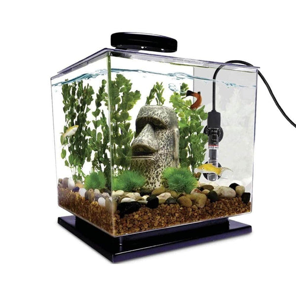 Mini chauffage pour petit aquarium 25W - 26 degrés température constan –  Petmonde
