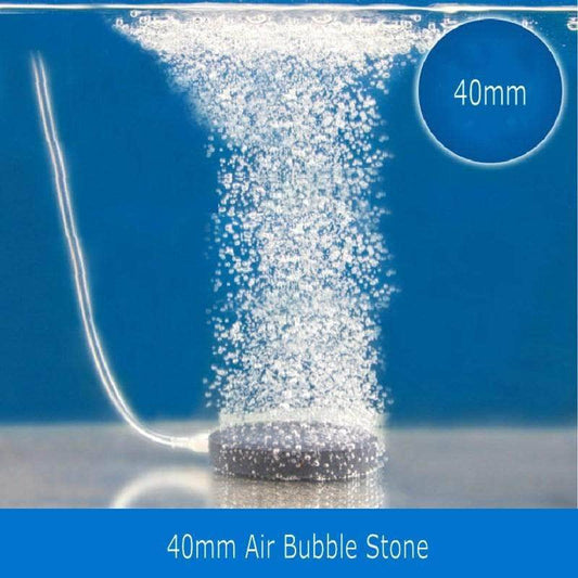 Pierre à bulles pour pompe à air disque 4 cm de diamètre pour aquarium-1-Petmonde