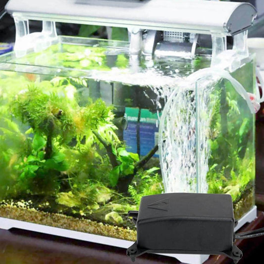 Pompe à air pour aquarium bulleur silencieux pour poissons crevettes-1-Petmonde