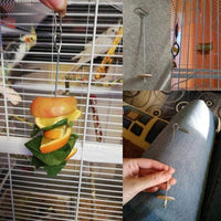 Petmonde-Support de nourriture oiseau en acier inoxydable broche accrochable à fruits légumes pour oiseaux-oiseau--Petmonde