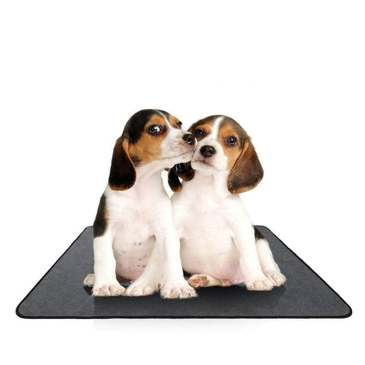 Tapis lavable pour chien avec absorption rapide réutilisable étanche pour l'entraînement, le voyage, la voiture et le canapé-1-Petmonde